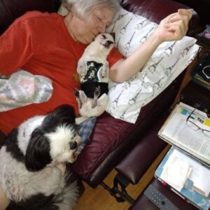 THE DOG WOULDN’T MOVE FROM HER CHEST—THEN I NOTICED HER HAND