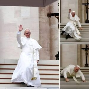 BREAKING| Lion XIV suffers gadget falls… See more