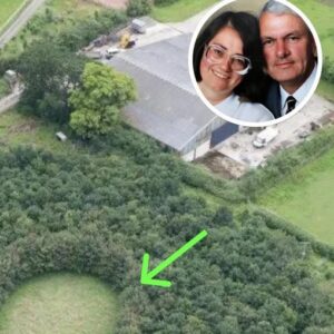 Husband Plants 6,000 Trees To Honor Deceased Wife, 15 Years Later Photos Reveal His True Motive