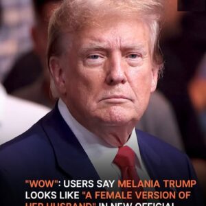 Users React to Melania Trump’s New Official Portrait