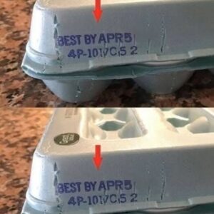 Here’s What Those Egg Carton Numbers Actually Tell You