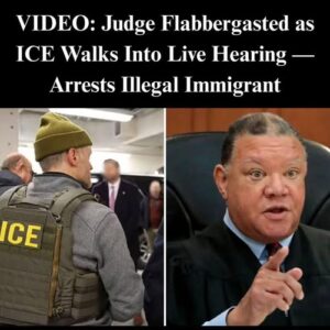 Judge Holds ICE Agent In Contempt For Detaining Illegal Migrant During Trial