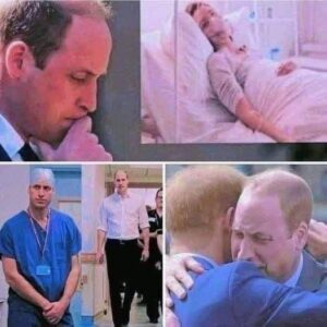 DEADLY FALL 😭💔 Prince Harry is devastated with grief. With heavy hearts, we announce the passing. Check the first comment ⤵️⤵️