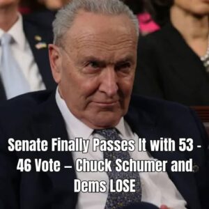 Senate Confirms Anne-Leigh Moe as U.S. District Judge for the Middle District of Florida