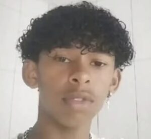 Boy, 14, dies after injecting himself with butterfly in viral online challenge